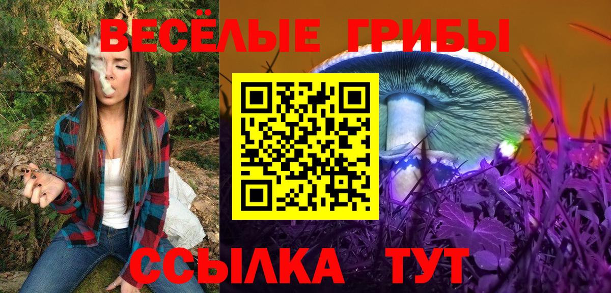 Чернушка  Галлюциногенные грибы Psilocybine cubensis  Вход с VPN 